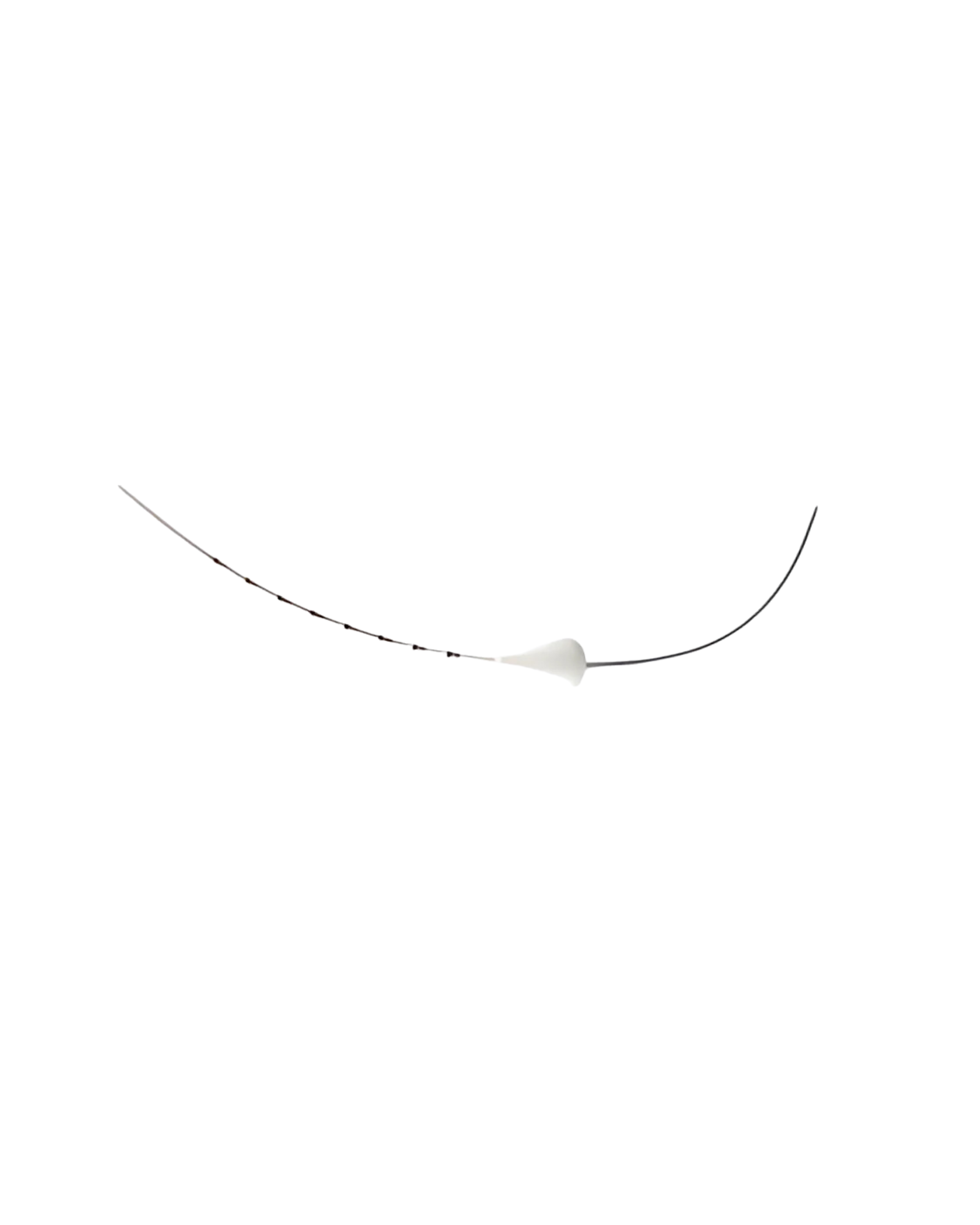 Catéter de Sonobiopsia